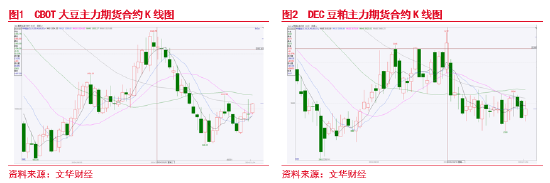 東海期貨：豆粕成本支撐邏輯增強，油強粕弱交易或逐步見頂