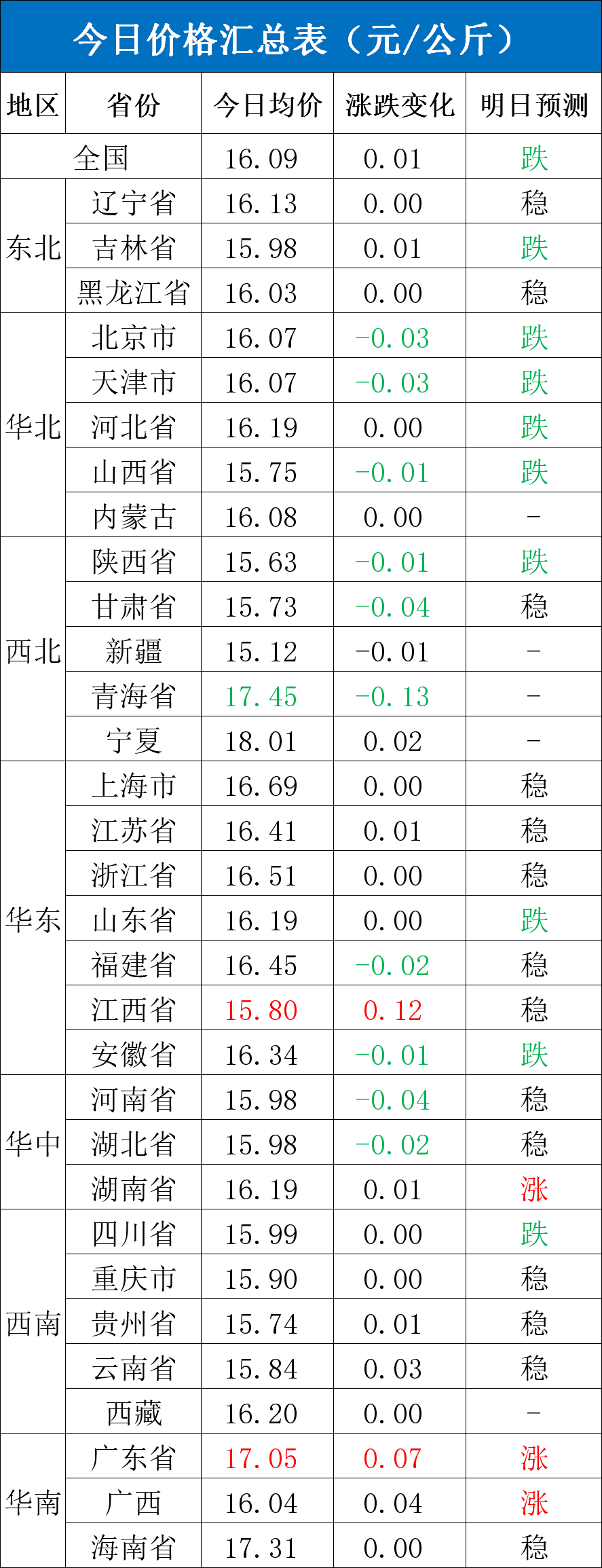 每日豬訊11.19