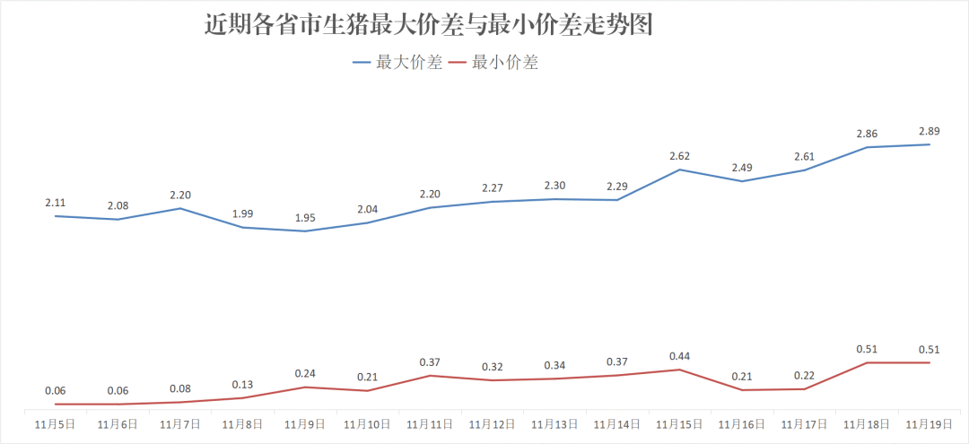 每日豬訊11.19