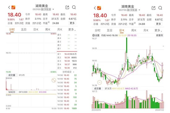 突然，6000億元黃金！002155周末公告