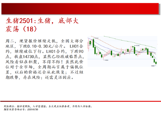 中天期貨:棕櫚再度探頂 橡膠重心上移